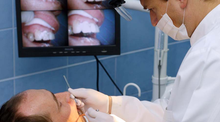 Fot. Iwona Burdzanowska